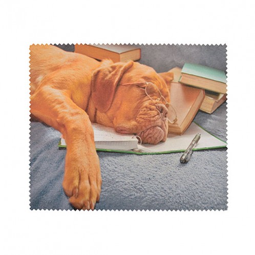 Dog Dog
