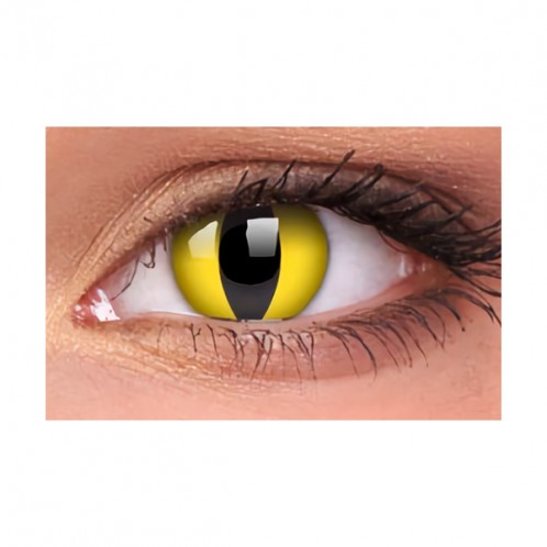 Cat's eye Cat's eye