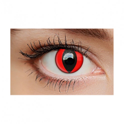 Cat Eye Red 1-Day Cat Eye Red 1-Day