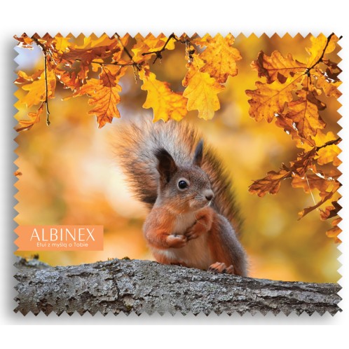 Chusteczka "Squirrel" Chusteczka "Squirrel"