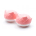 Lęšių konteineriukas "Macarons"